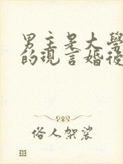 男主是大学教授的现言婚后的小说