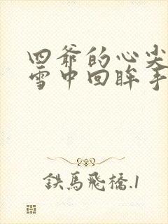 四爷的心尖宠妃雪中回眸手机版