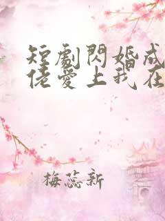 短剧闪婚成宠大佬爱上我在线免费看