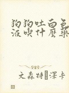 狗狗吐白色的黏液吃什么药好