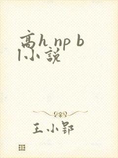 高h np bl小说