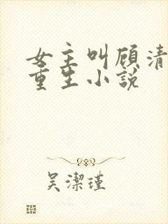 女主叫顾清欢的重生小说