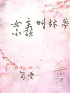 女主叫林梦瑶的小说