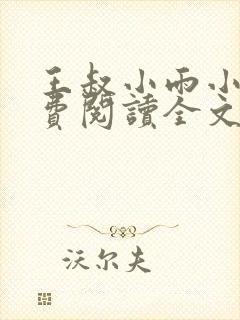 王叔小雨小说免费阅读全文