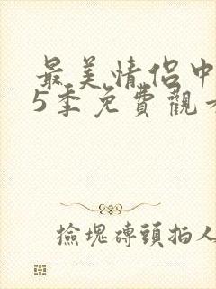 最美情侣中文第5季免费观看