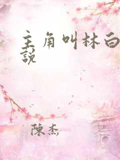 主角叫林白的小说