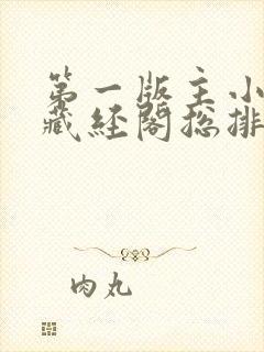 第一版主小说网藏经阁总排行