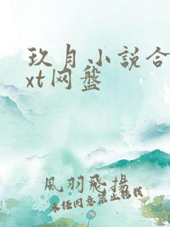 玖月小说合集txt网盘