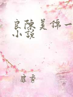 良陈美锦一样的小说