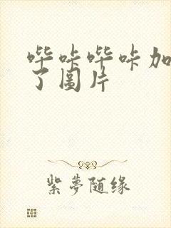 哔咔哔咔加载不了图片