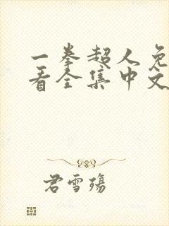 一拳超人免费观看全集中文版