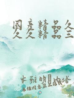 国产精品久久久久久精品三级