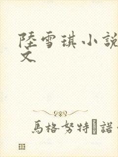 陆雪琪小说同人文