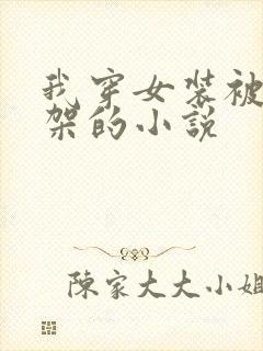 我穿女装被人绑架的小说