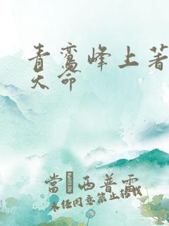 青鸾峰上著无敌天命