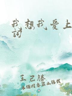 我想我爱上你歌词