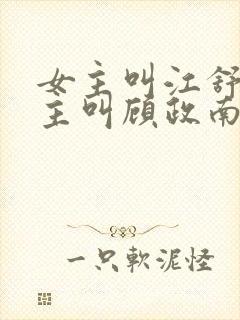 女主叫江舒棠男主叫顾政南的小说