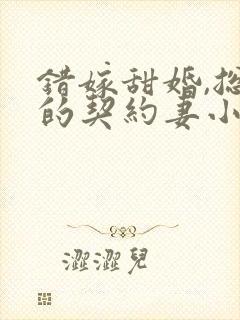 错嫁甜婚,总裁的契约妻小说