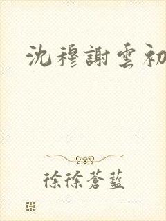 沈穆谢云初番外