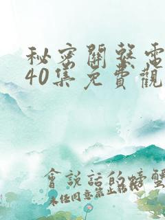 秘密关系电视剧40集免费观看