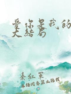 爱你是我的秘密大结局