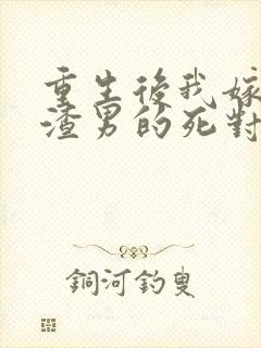 重生后我嫁给了渣男的死对头253