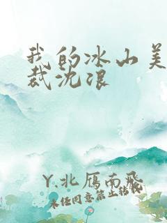 我的冰山美女总裁沈浪