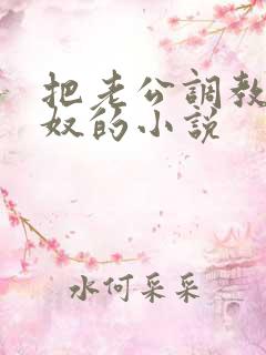 把老公调教成绿奴的小说