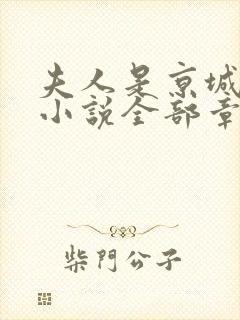 夫人是京城一霸小说全部章节