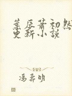 叶辰萧初然最快更新小说