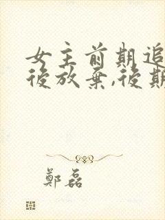 女主前期追男主后放弃,后期男主狂追的小说