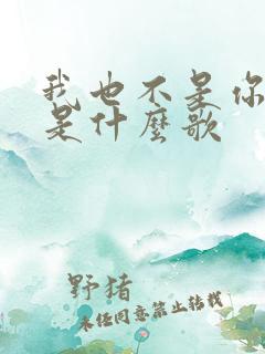 我也不是你的谁是什么歌