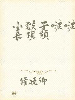 小猴子啵啵全集长视频