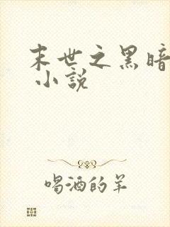 末世之黑暗时代 小说