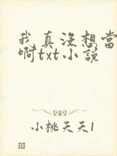 我真没想当皇帝啊txt小说