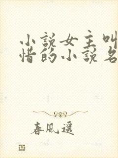 小说女主叫宋惜惜的小说名字