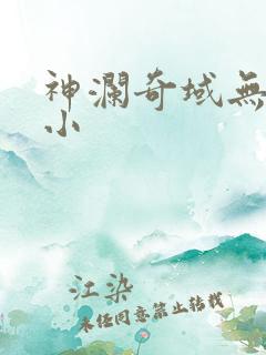 神澜奇域无双珠小