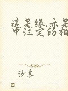 这是缘,亦是命中注定的相见