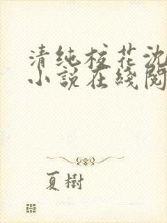 清纯校花沈清清小说在线阅读
