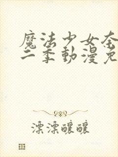 魔法少女奈叶第二季动漫免费