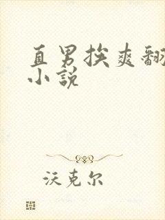 直男挨爽翻呻吟小说