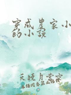 穿成农家小福宝的小说