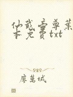 仙武帝尊叶辰全本免费txt