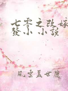 七零之改嫁前夫发小 小说