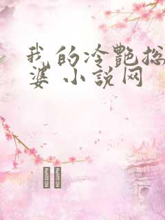 我的冷艳总裁老婆 小说网