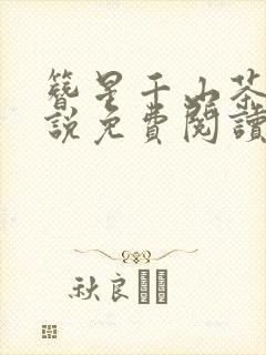 簪星千山茶客小说免费阅读无弹窗