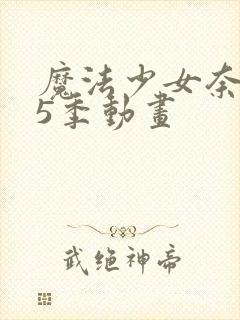 魔法少女奈叶第5季动画