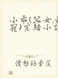 小乖(父女,甜宠)完结小说