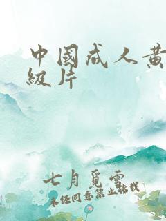 中国成人黄色一级片