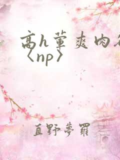 高h荤爽肉欲文〈np〉